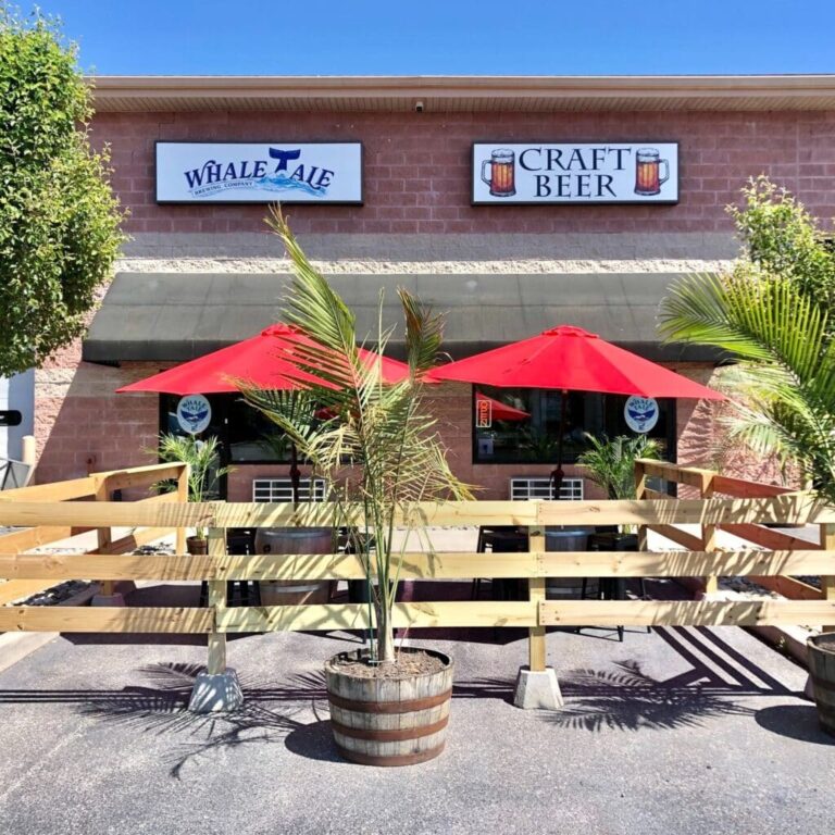 444483848 911205267686638 8023163208147093384 n 1024x1024 1 768x768