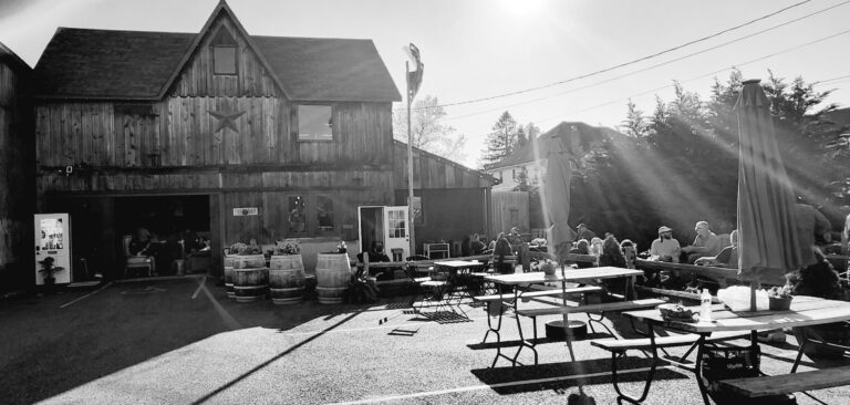 492956713 10229782543132157 7146629423777269824 n 768x366