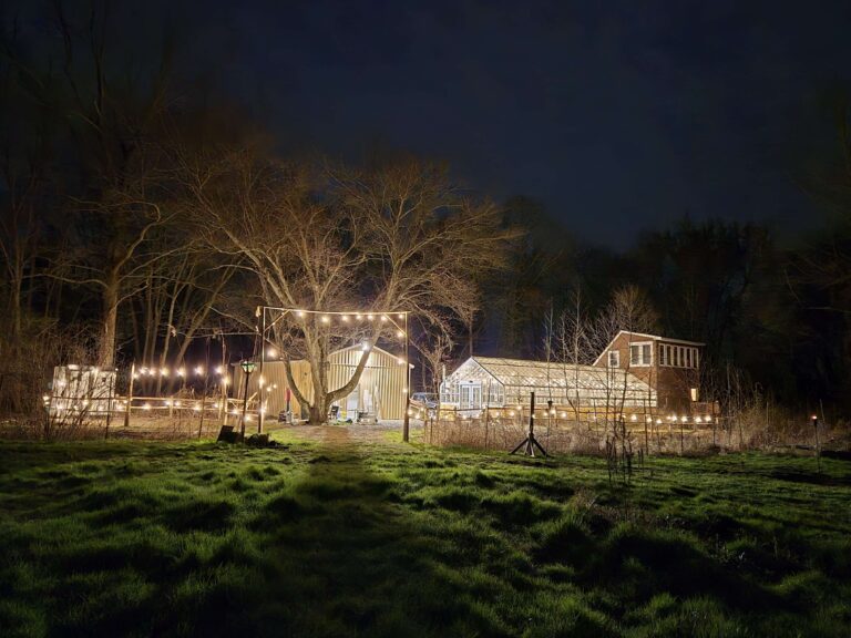 Meadery at Night 768x576