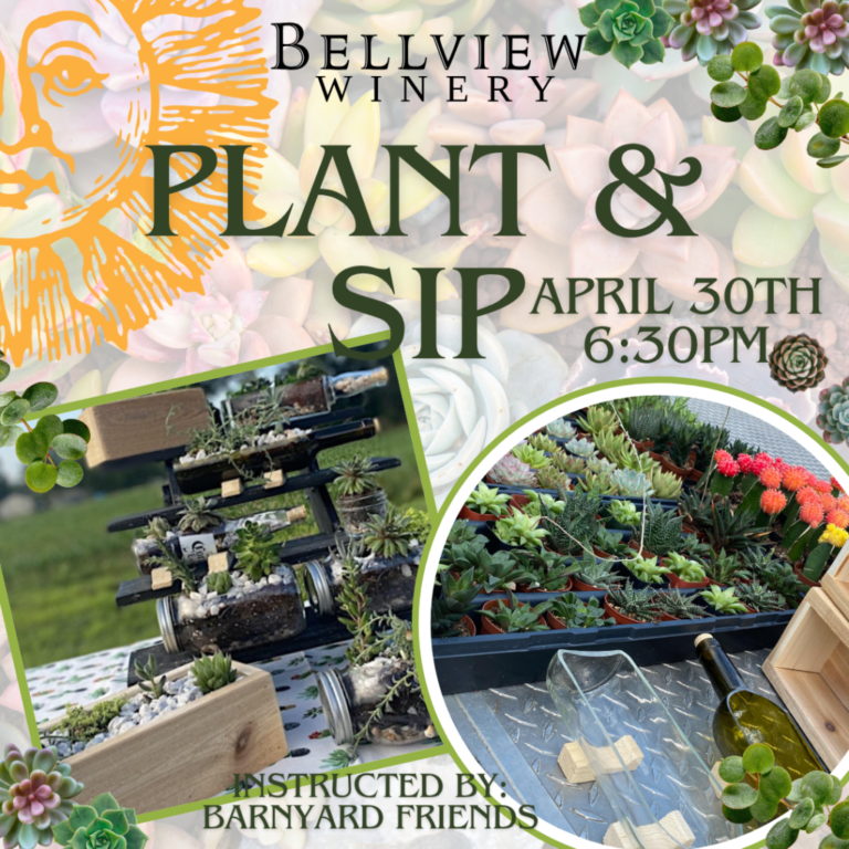event plant and sip instructed by barnyard friends bellview winery 768x768
