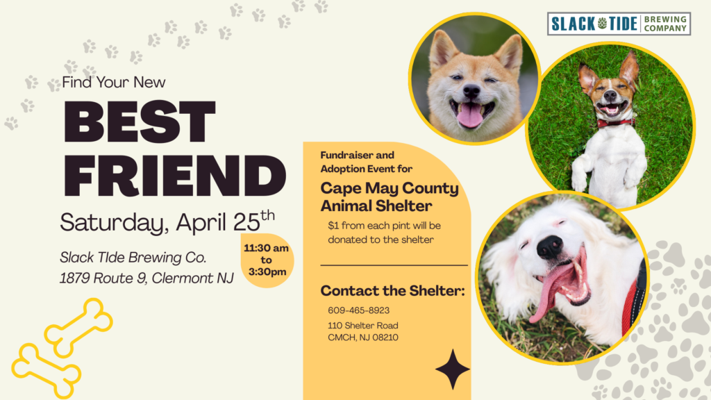 event adoption fundraiser cape may county animal shelter slack tid 1024x576