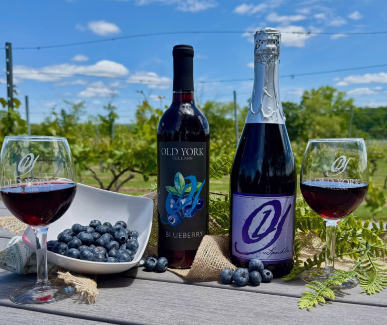 Blueberry Celebration 2 1 768x644