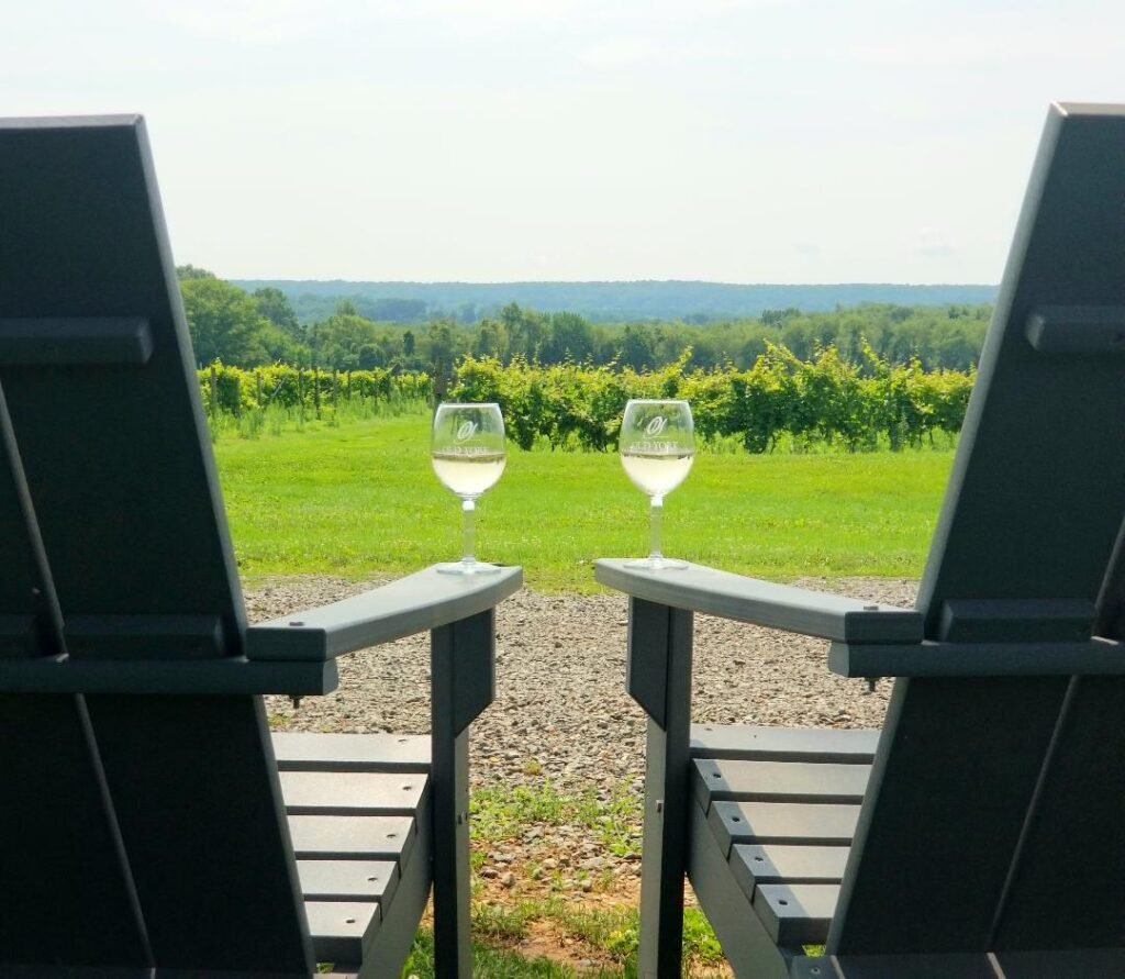 Chairs wine and vineyard 2 1024x891