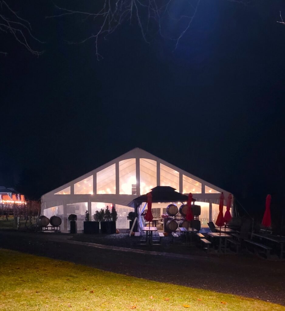 Vineyard Tent at Night  938x1024