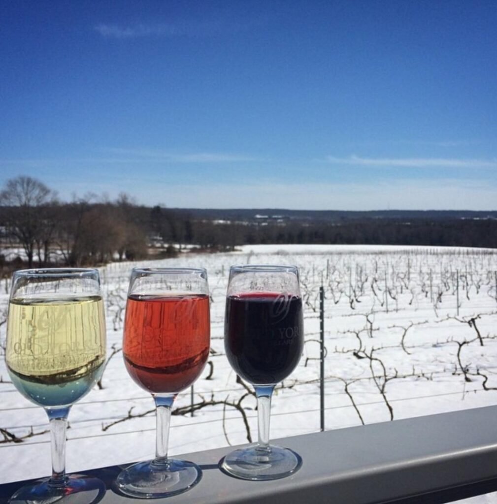 White blush and red wine in front of winter vineyard 1009x1024