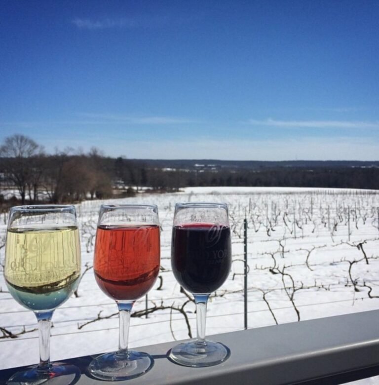 White blush and red wine in front of winter vineyard 768x780