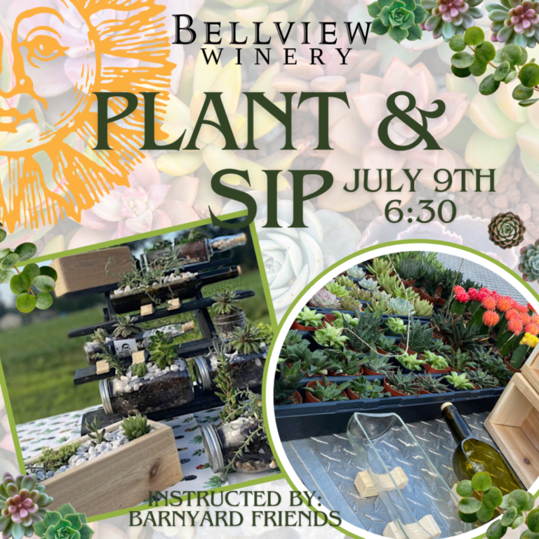 event plant and sip instructed by barnyard friends bellview winery 768x768